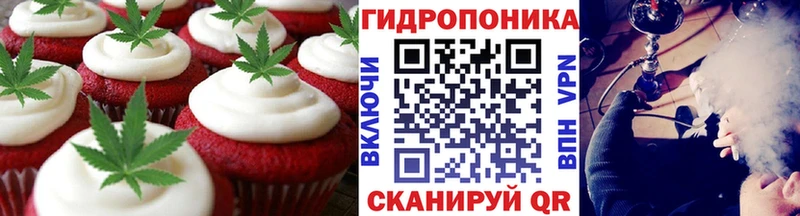 Купить закладки  Куса  Cannafood конопля 